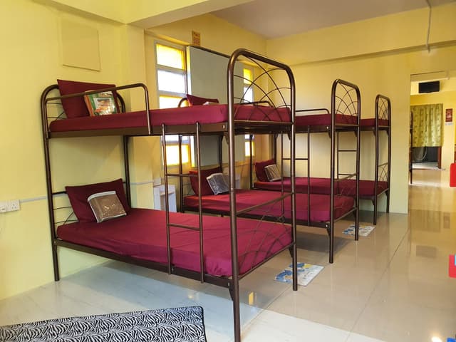 Mixed Dorm Bed