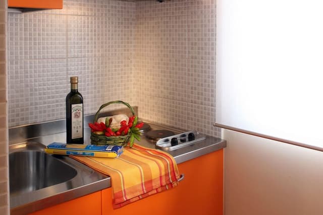 Comfort Apartment (for 3 people)