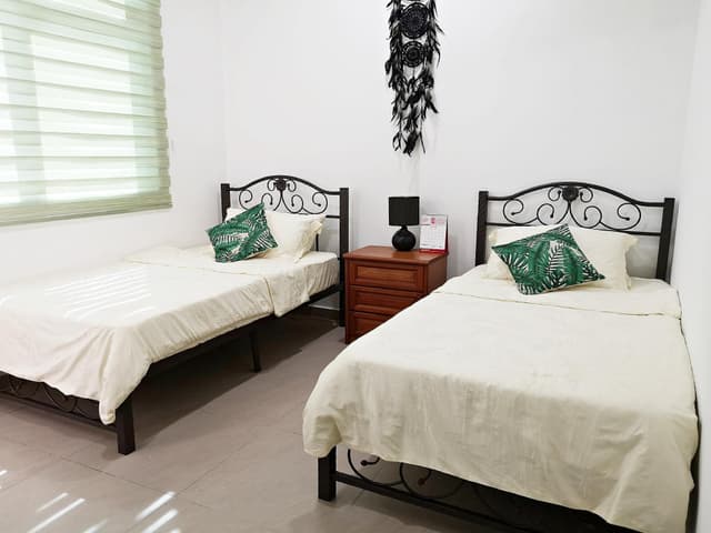 Cozy Twin Room