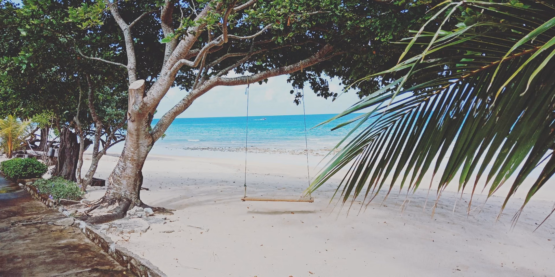 คอรัล รีฟ ฮอลิเดย์ส์ (Coral Reef Holidays)3