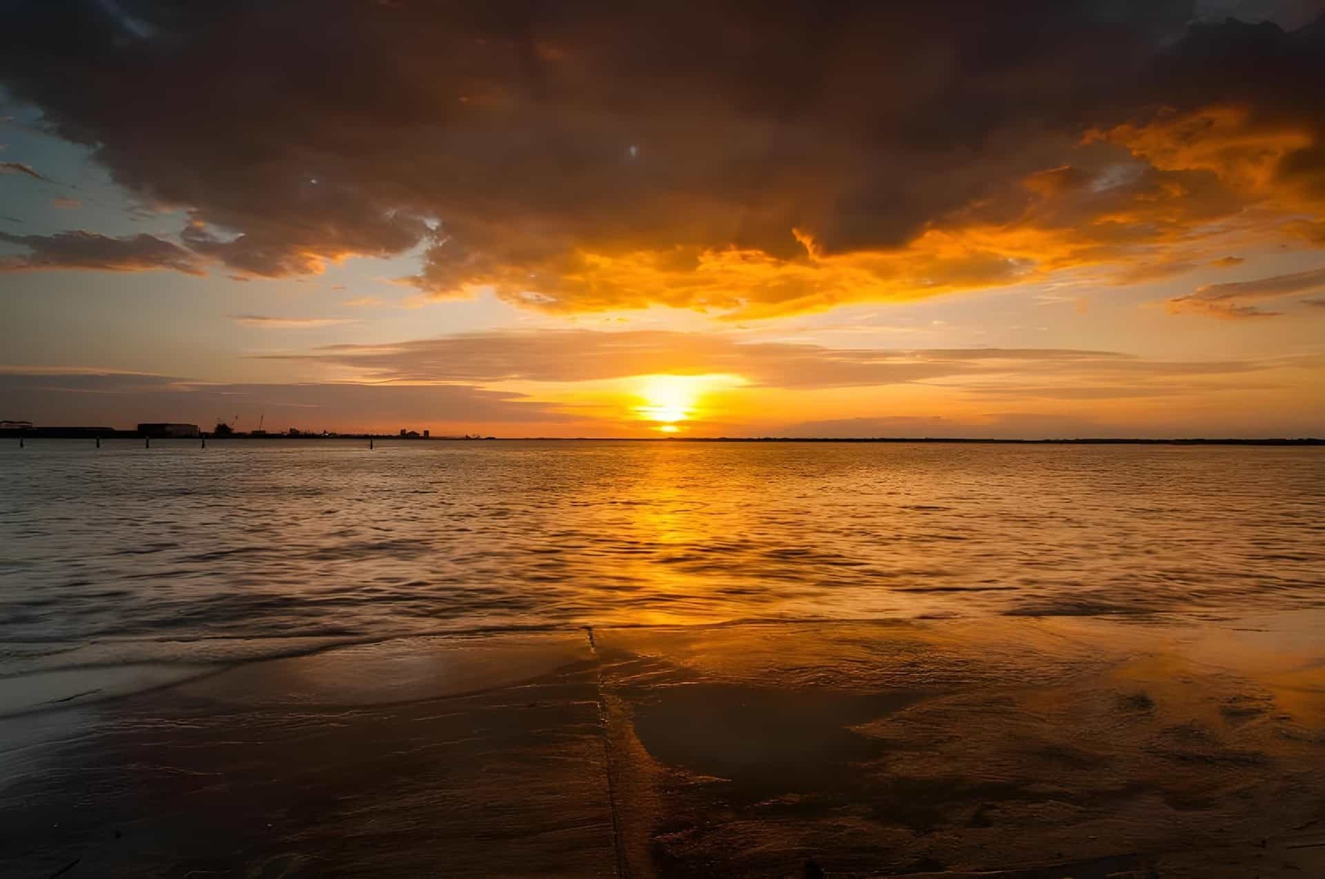 โรงแรมดีพาร์ค บายู ติงกี โรงแรมดีพาร์ค บายู ติงกี