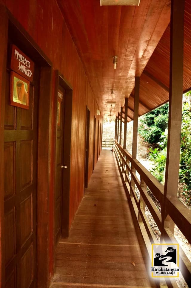 Bed in 4 Bed Dormitory (B)
