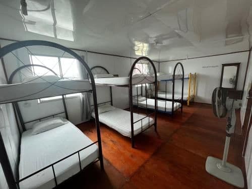 Bunk Bed in Mixed Dormitory Room