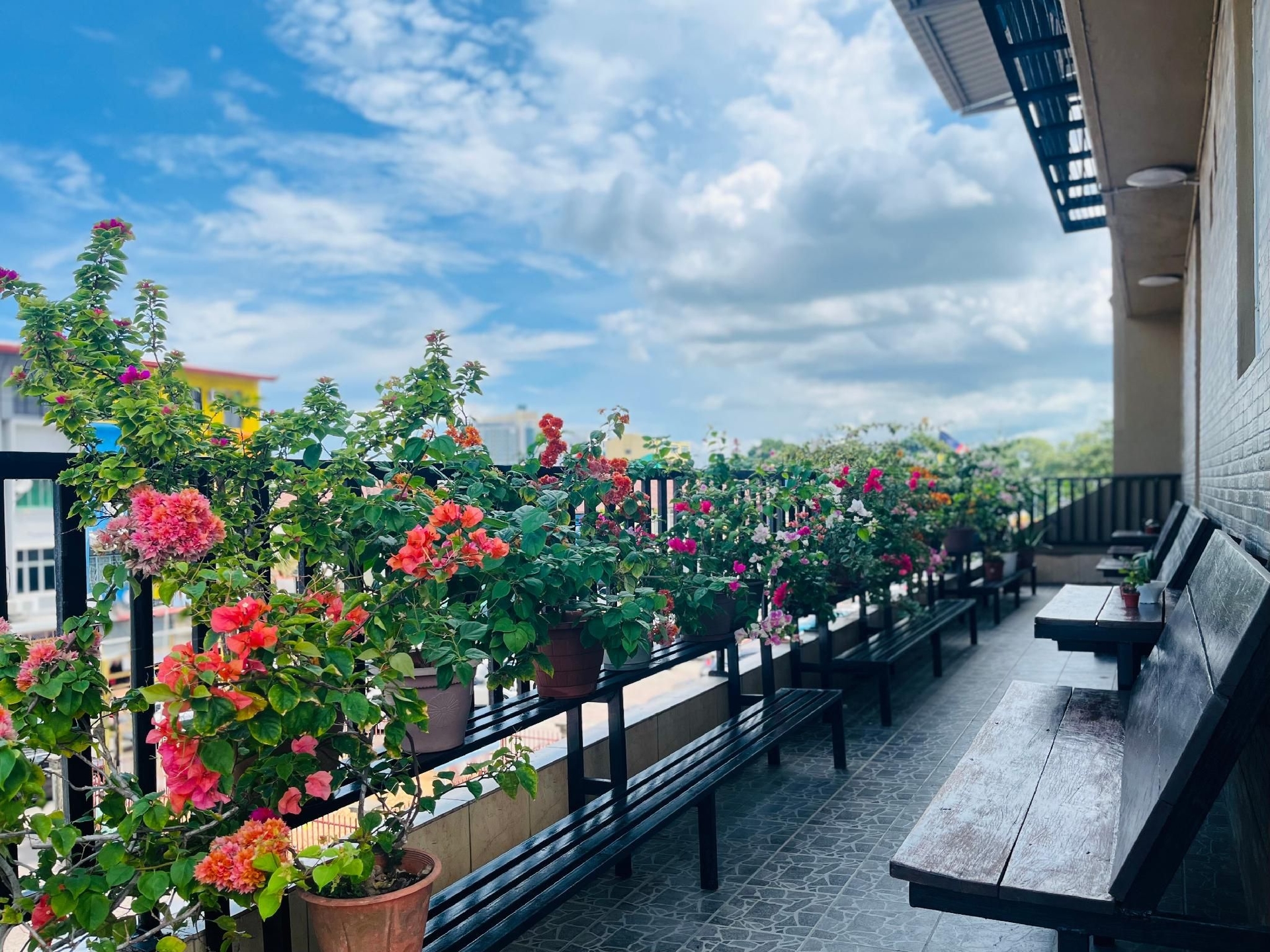 โรงแรมเซมร็อค (SemRock Hotel)1