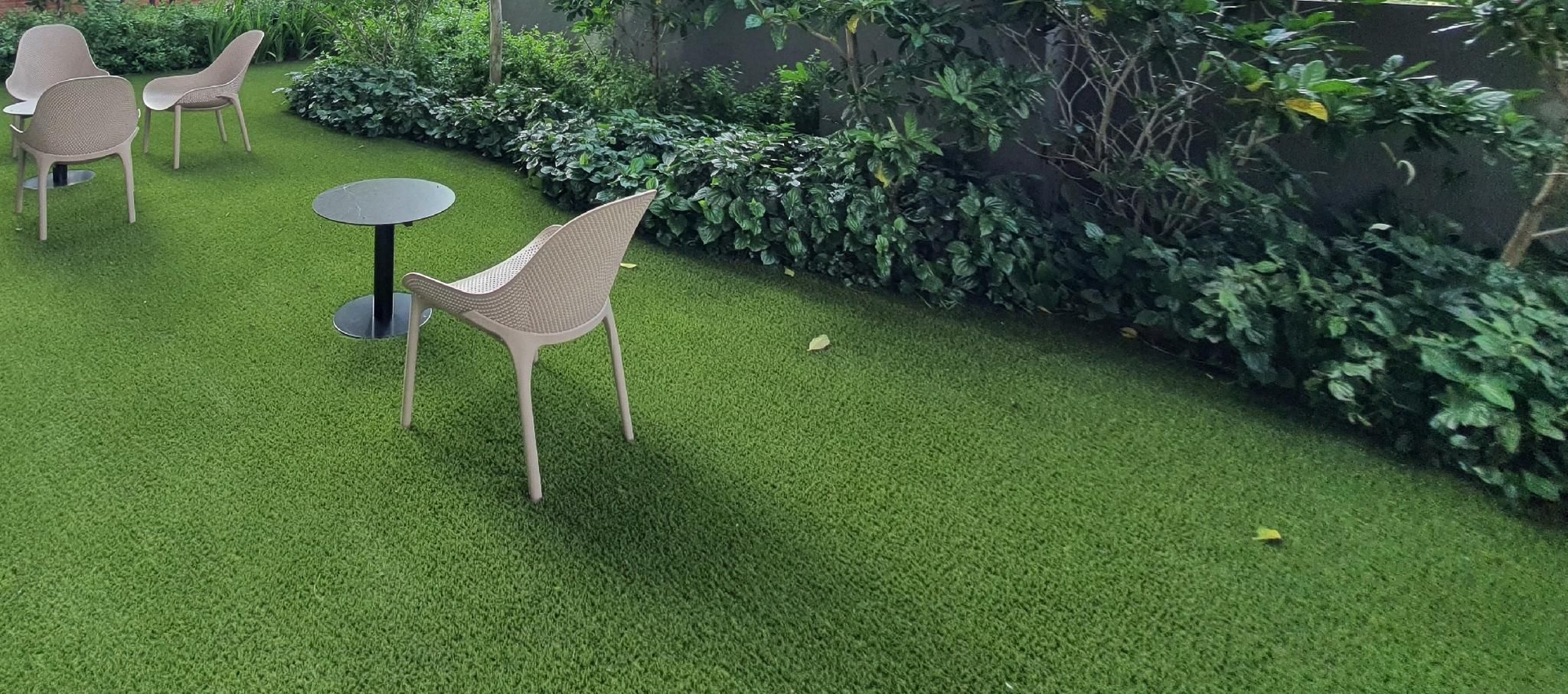 pipihappyhome1