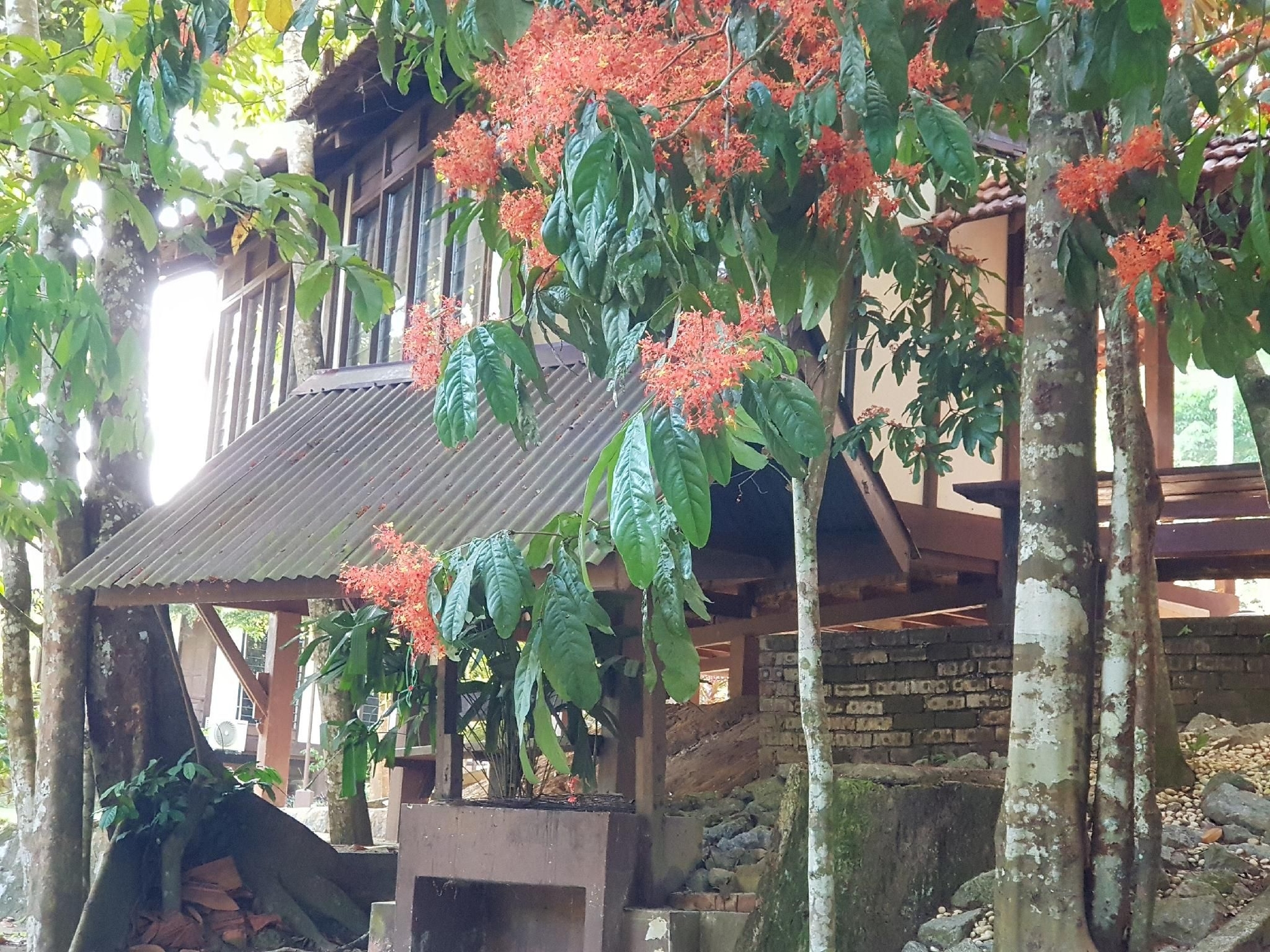 ดิอิมเพียน่า ริเวอร์วิว ชาเลต์ แอท เล้งกอง (D'Impiana Riverview Chalet @ Lenggong)4