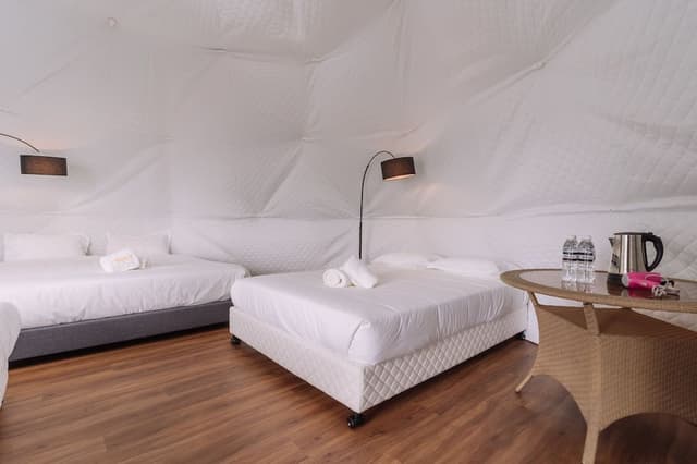 Igloo