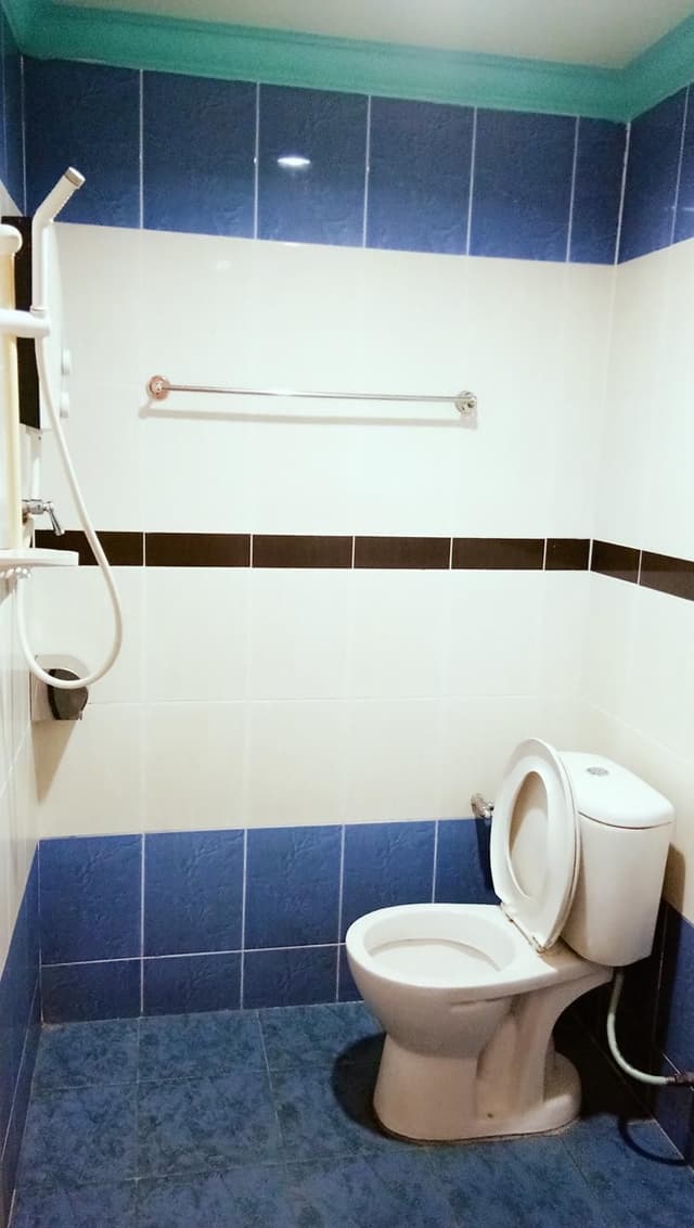 Standard Twin