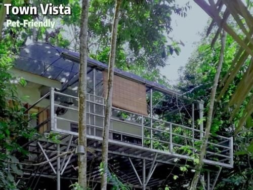 กิบบอน รีทรีท เบนตง (Gibbon Retreat Bentong)2