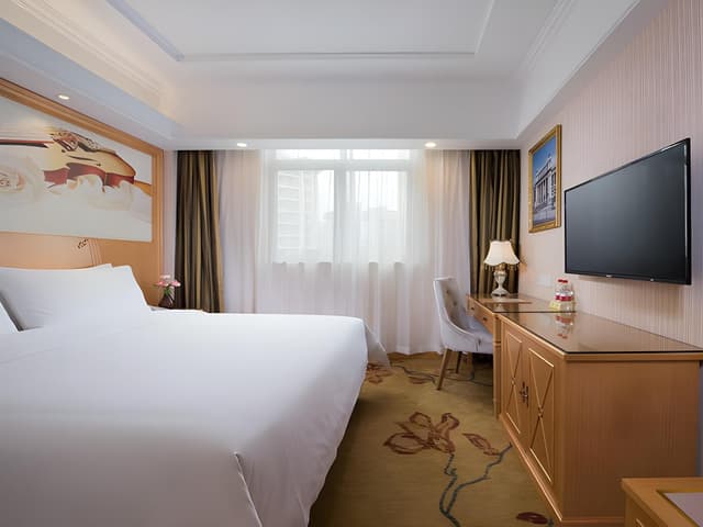 Vienna - Deluxe Room