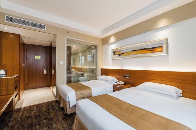 Executive Twin Room