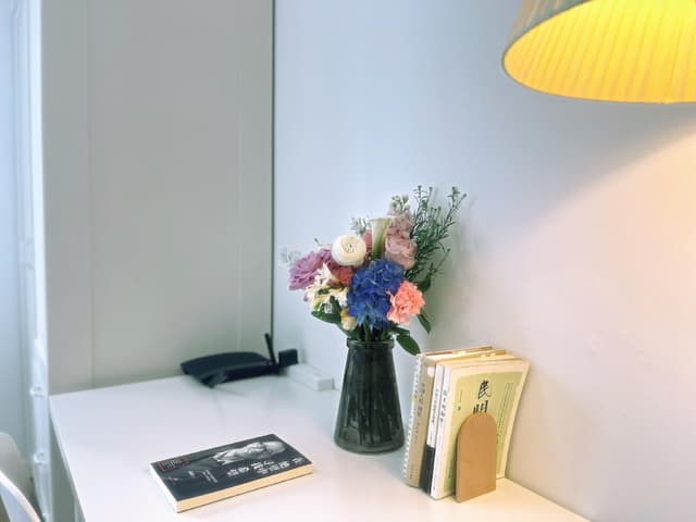 Studio without Balcony