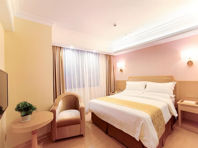Vienna - Standard Bed Room