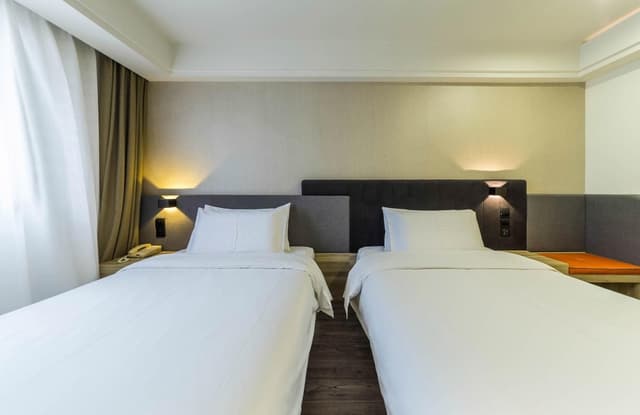 Guest Twin Room