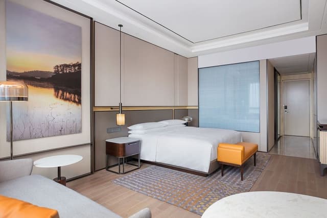 Room, 1 King Bed