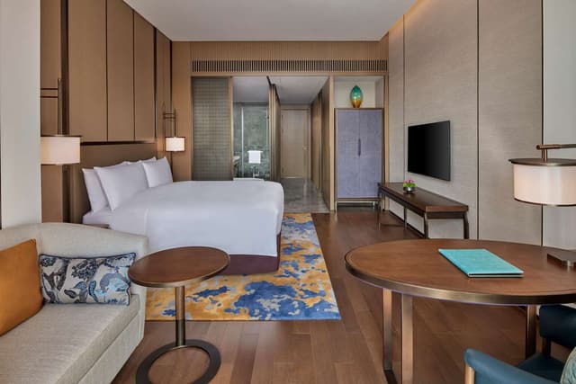 KING ACCESSIBLE ROOM