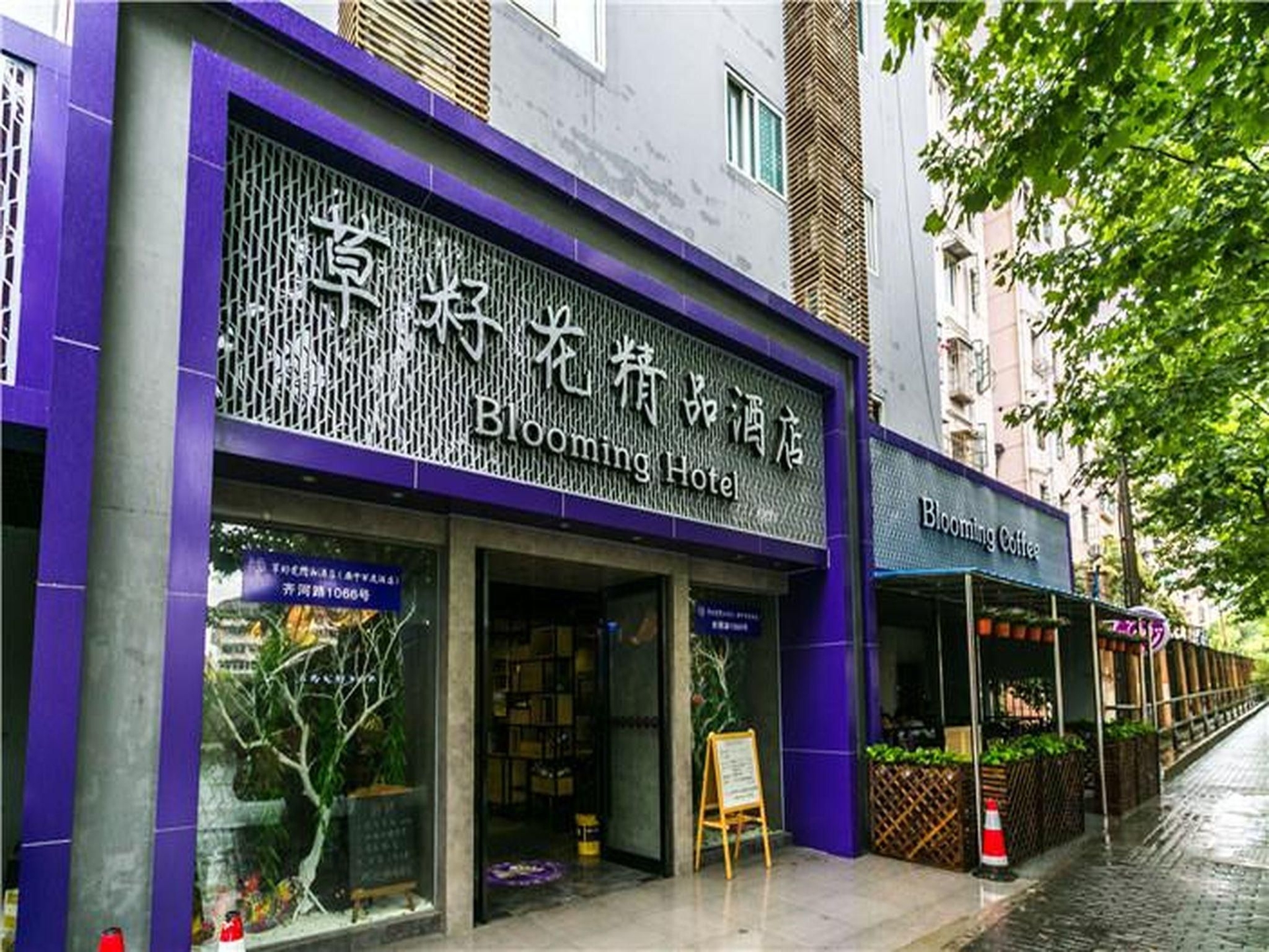 บลูมมิ่ง โฮเต็ล (Blooming Hotel)0