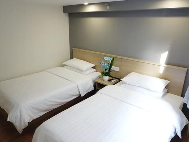 Guest Twin Room