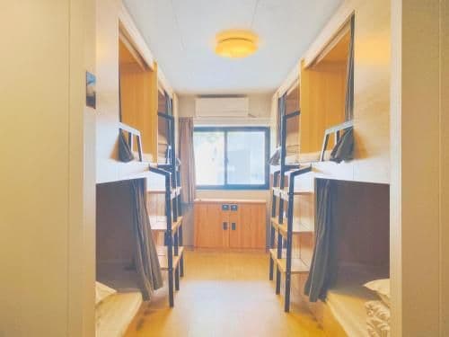 Bed in 8 Bed Female Dormitory