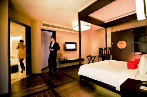Standard Suite