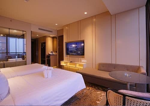 Deluxe Room with 2 single beds, City side
