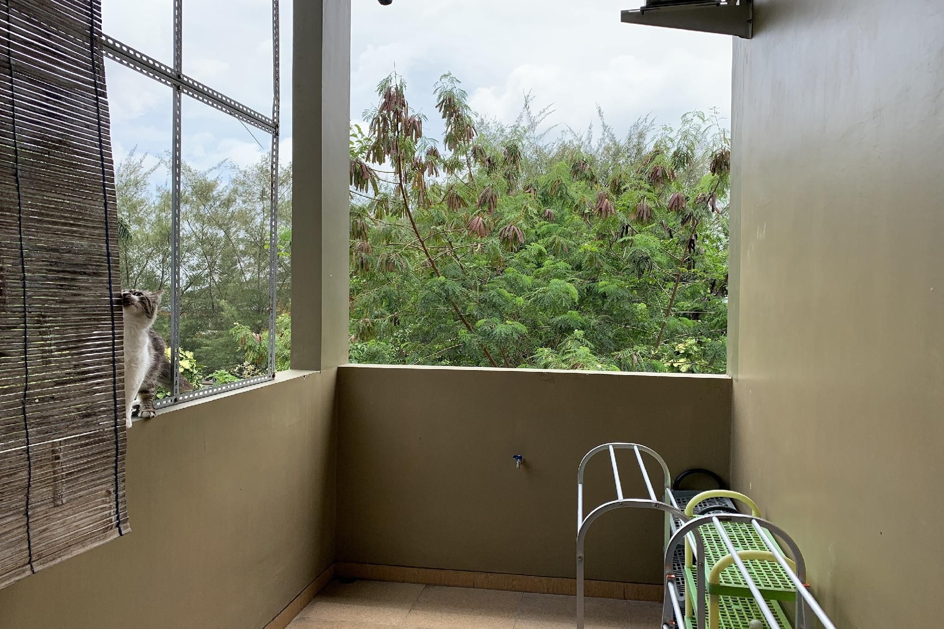 Green Homestay3