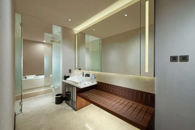 Suite, 1 King Bed with Sofa bed, Bathtub