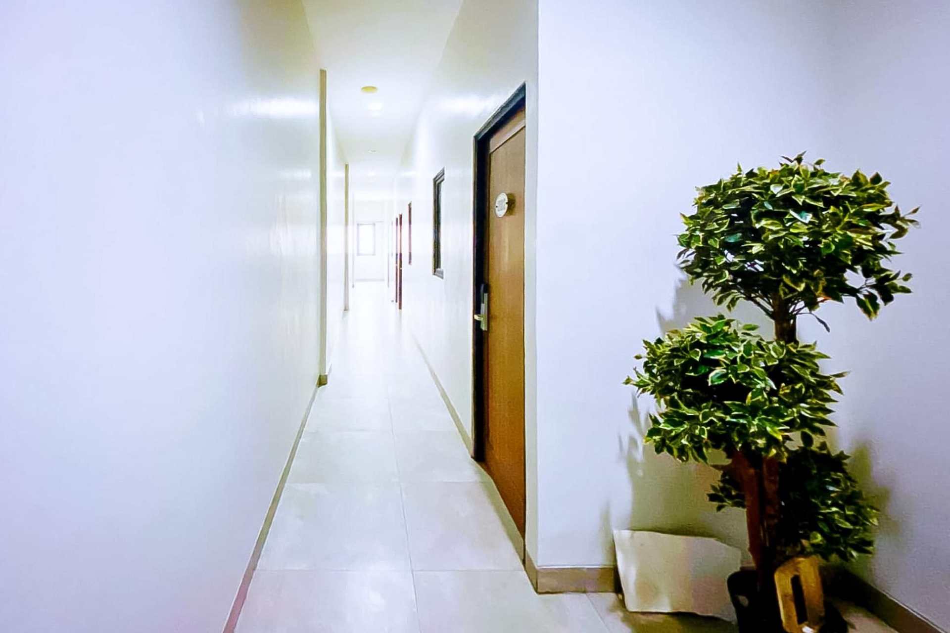 เอ็นวี เรสซิเดนซ์ มังกาเบซาร์ เรดพาร์ทเนอร์ (Env Residence Mangga Besar RedPartner)2