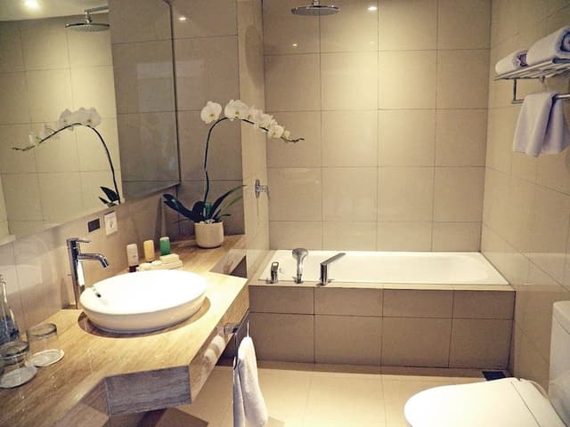 Suite, City View