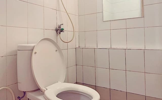 Basic Apartment