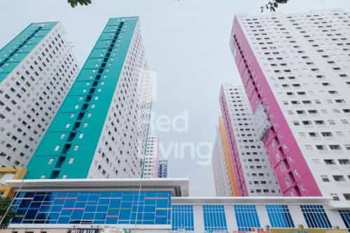 เรดลีฟวิง อพาร์ตเมนต์ กรีน ปรามูกา - แฟมิลี่กรุ๊ปทาวเวอร์ออร์คิด เรดลีฟวิง อพาร์ตเมนต์ กรีน ปรามูกา - แฟมิลี่กรุ๊ปทาวเวอร์ออร์คิด