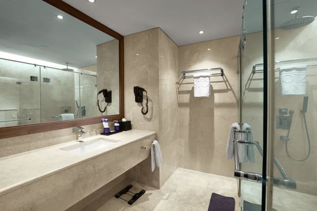 Junior Suite (with Breakfast)