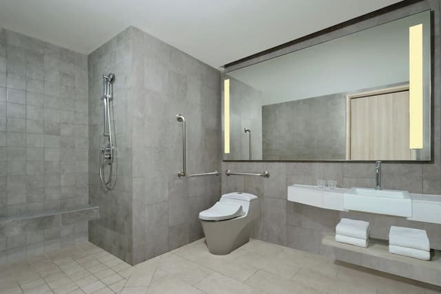 Room, 1 King Bed (Premium Deluxe, 1 King)