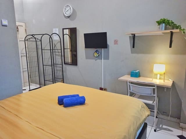 Superior Double or Twin Room