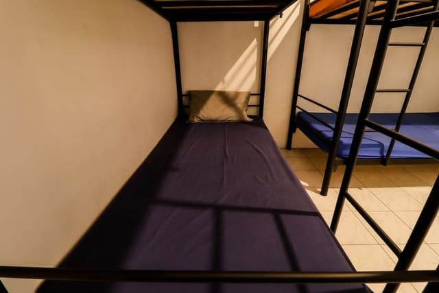 4 Bunk Bed Room