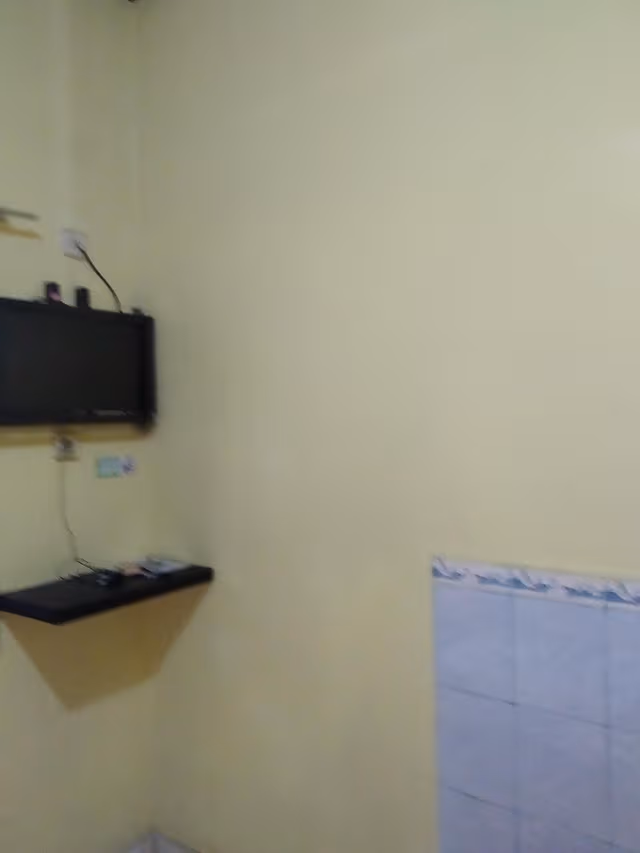 Deluxe Fan Room