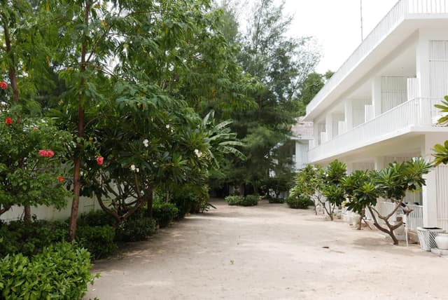 Standard Twin Garden View