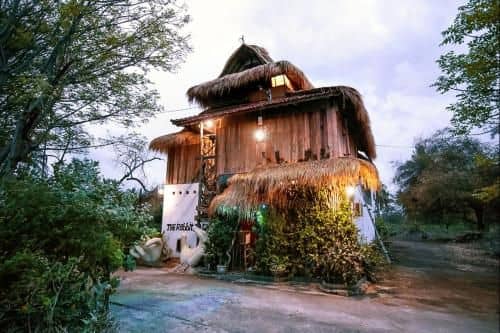 The Rabbit Tree Hostel The Rabbit Tree Hostel