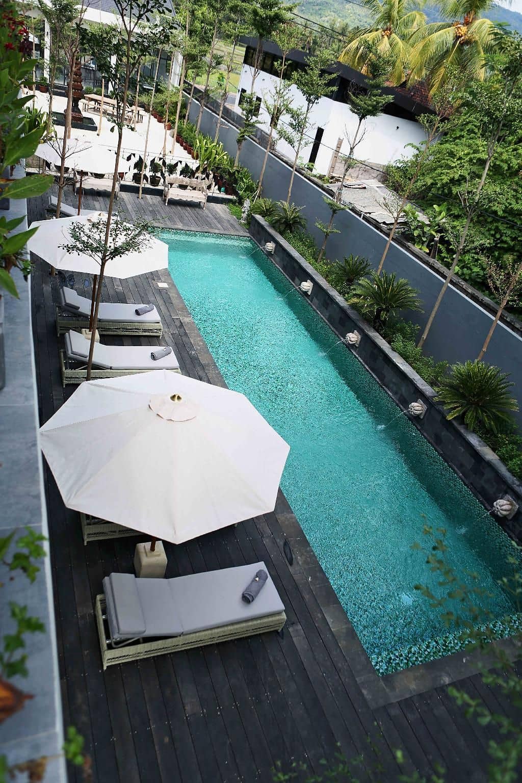 Lovina life Room & Cafe Lovina life Room & Cafe