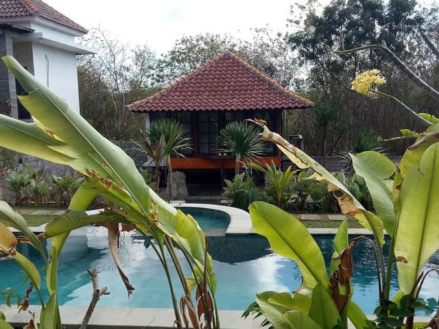 Honeymoon Single Room, 1 Bedroom, Courtyard View, Poolside