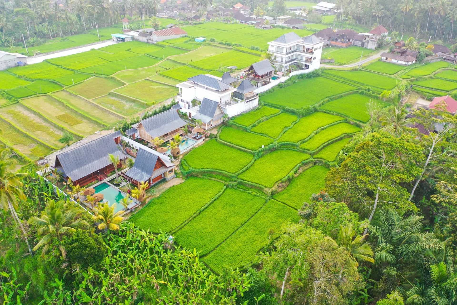 Abian Taksu Suite and Villas Abian Taksu Suite and Villas