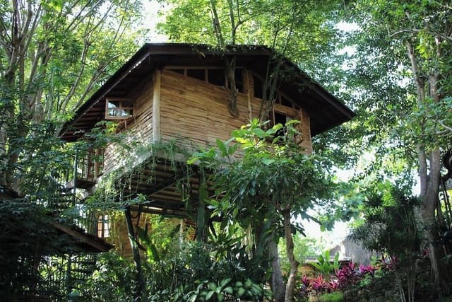 Premier Tree House