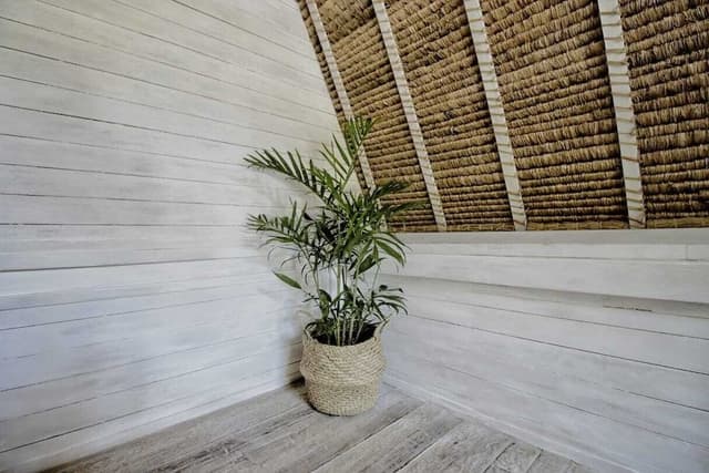 Double or Twin Room, Pool View (Tropimoon)