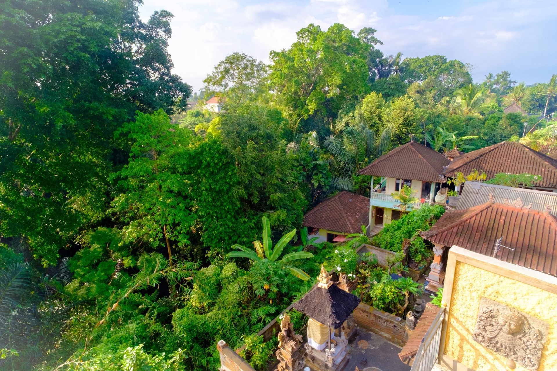 Bali Ubud Harmony1
