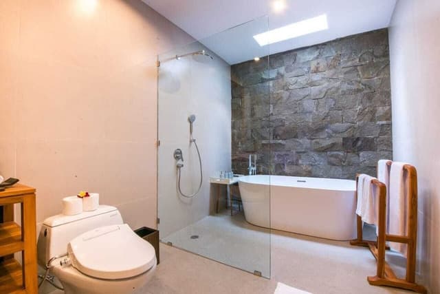 Premier Room