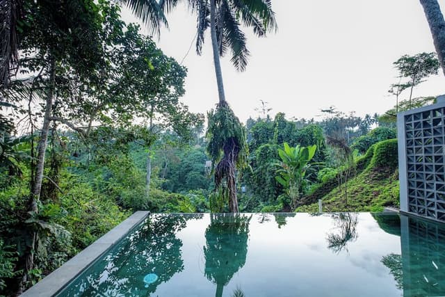 Two Bedroom Private Pool Villa with Valley View