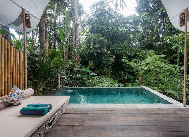 One Bedroom Villa with Jungle View