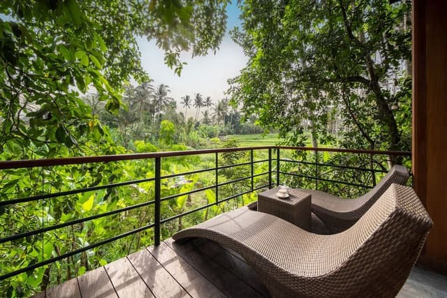 Jungle Suite King with Free Scheduled Activities