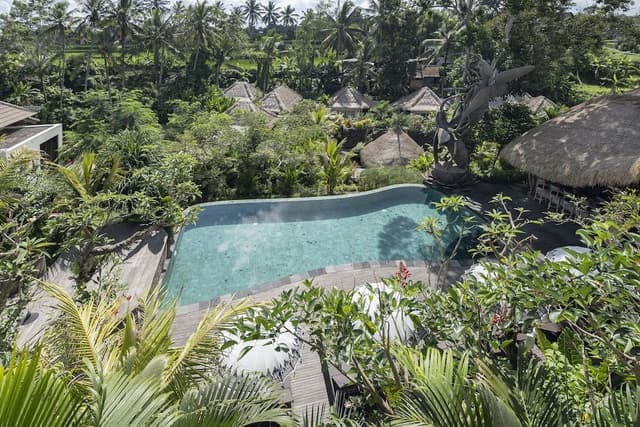 Suite with Pool View