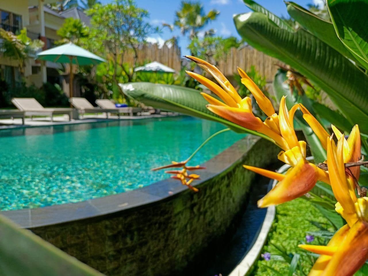 The Kalyana Ubud Resort The Kalyana Ubud Resort